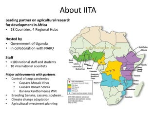About IITA
Leading partner on agricultural research
for development in Africa
• 18 Countries, 4 Regional Hubs
Hosted by
• ...