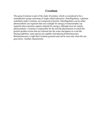 Ceratium
The genus Ceratium is part of the clade Alveolates, which is considered to be a
monophyletic group consisting of single celled eukaryotes. Dinoflagellates, a phylum
(subclade) under Ceratium, are composed of protists. Dinoflagellates can be either
photosynthetic (an organism that uses sunlight for energy) or heterotrophic (an
organism that consumes organic material for energy), although most are mainly
photosynthetic. Ceratium is responsible for the red tide phenomenon in which the
protists produce toxins that are released into the water and appear as a red tide .
During nighttime, some species are capable of producing bioluminescence.
Bioluminescence is light that Ceratium generate and can be seen only when the sun
goes down. Another characteristic
 