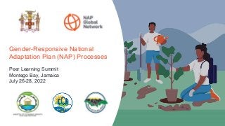 Gender-Responsive National
Adaptation Plan (NAP) Processes
Peer Learning Summit
Montego Bay, Jamaica
July 26-28, 2022
 