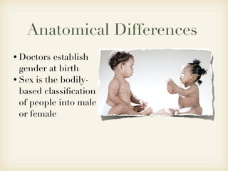 Anatomical Differences
• Doctors  establish
  gender at birth
• Sex is the bodily-
  based classiﬁcation
  of people into male
  or female
 