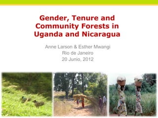 Gender, Tenure and
Community Forests in
Uganda and Nicaragua
  Anne Larson & Esther Mwangi
         Rio de Janeiro
         20 Junio, 2012
 