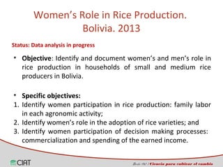 Incorporating the gender dimension on the use of rice technologies in Latin America 