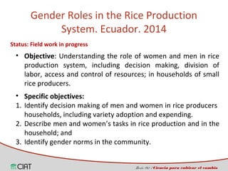 Incorporating the gender dimension on the use of rice technologies in Latin America 