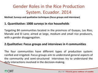 Incorporating the gender dimension on the use of rice technologies in Latin America 