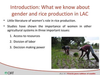 Incorporating the gender dimension on the use of rice technologies in Latin America 