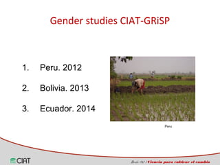 Incorporating the gender dimension on the use of rice technologies in Latin America 