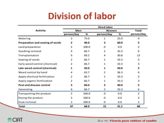 Incorporating the gender dimension on the use of rice technologies in Latin America 