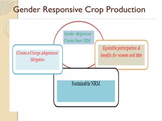 Gender Responsive Crop Production
 