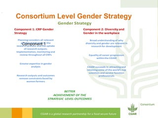 Gender Responsive Research