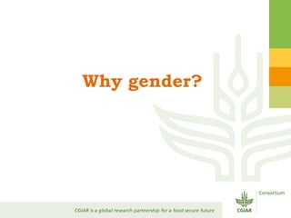 Gender Responsive Research