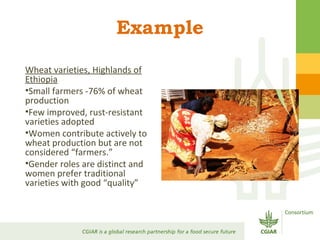 Gender Responsive Research