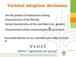 Gender Responsive Research