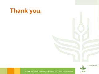 Gender Responsive Research