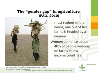 Gender Responsive Research