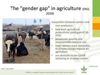 Gender Responsive Research