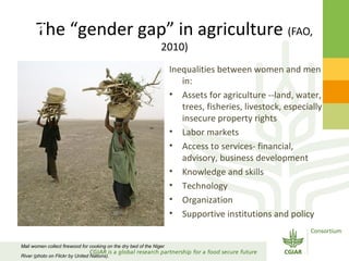 Gender Responsive Research