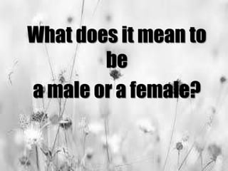 What does it mean to
be
a male or a female?
 