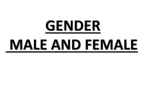 GENDER
MALE AND FEMALE
 