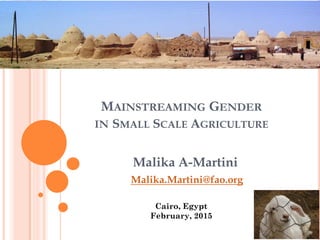 MAINSTREAMING GENDER
IN SMALL SCALE AGRICULTURE
Malika A-Martini
Malika.Martini@fao.org
Cairo, Egypt
February, 2015
 
