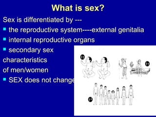 What is sex?
Sex is differentiated by -- the reproductive system----external genitalia
 internal reproductive organs
 secondary sex
characteristics
of men/women
 SEX does not change

 