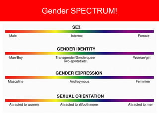 Gender SPECTRUM!
 