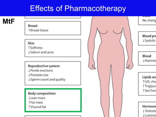 Effects of Pharmacotherapy
MtF
 