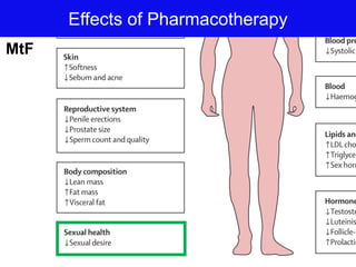 Effects of Pharmacotherapy
MtF
 