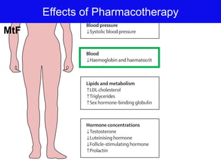 Effects of Pharmacotherapy
MtF
 