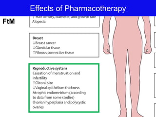 Effects of Pharmacotherapy
FtM
 