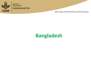 Gender research update and ways forward: Egypt and Bangladesh