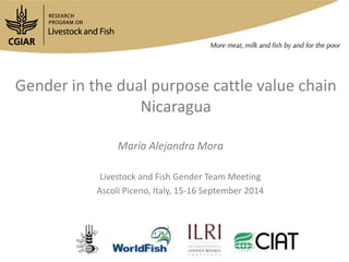 Gender in the dual purpose cattle value chain 
Nicaragua 
María Alejandra Mora 
Livestock and Fish Gender Team Meeting 
Ascoli Piceno, Italy, 15-16 September 2014 
 