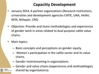 Gender in the dual purpose cattle value chain Nicaragua