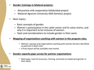Gender in the dual purpose cattle value chain Nicaragua