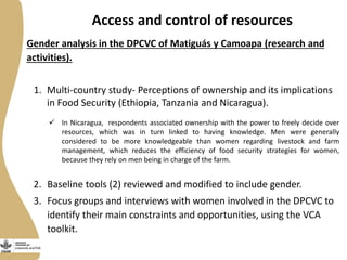 Gender in the dual purpose cattle value chain Nicaragua
