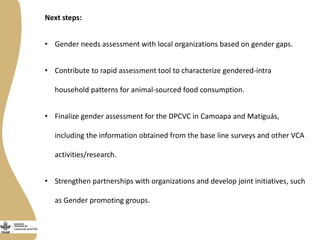 Gender in the dual purpose cattle value chain Nicaragua