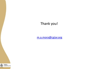 Gender in the dual purpose cattle value chain Nicaragua