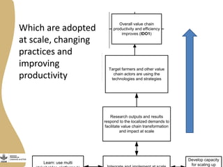 Gender agenda in the Livestock and Fish program
