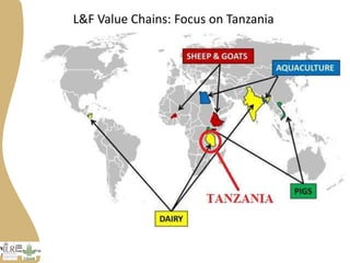 Progress on gender research in the Tanzania value chain in 2014 and 2015