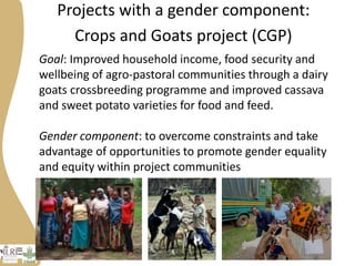 Progress on gender research in the Tanzania value chain in 2014 and 2015