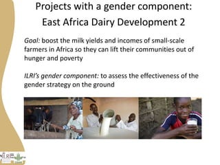 Progress on gender research in the Tanzania value chain in 2014 and 2015