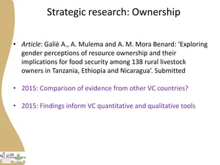 Progress on gender research in the Tanzania value chain in 2014 and 2015