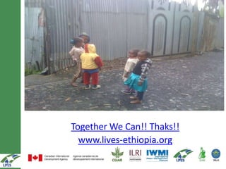 Progress in gender mainstreaming in LIVES