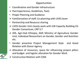 Progress in gender mainstreaming in LIVES