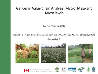 Gender in Value Chain Analysis: Macro, Meso and
Micro levels
Ephrem Tesema (ILRI)
Workshop on gender and value chains in the LIVES Project, Adama, Ethiopia, 19-22
August 2013
 