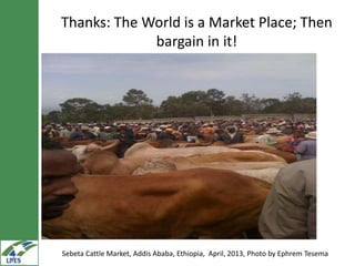 Gender in value chain analysis: Macro, meso and micro levels