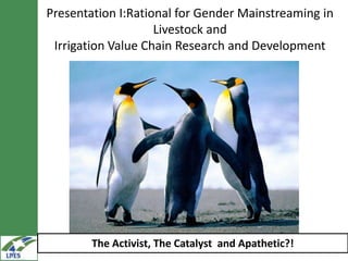 Gender in value chain analysis: Macro, meso and micro levels