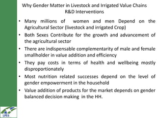 Gender in value chain analysis: Macro, meso and micro levels