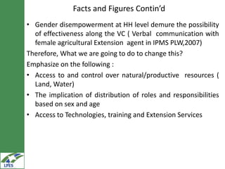 Gender in value chain analysis: Macro, meso and micro levels