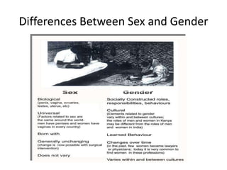 Introduction to gender concepts