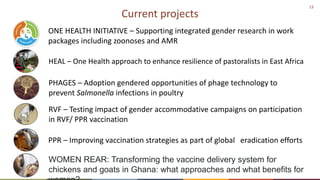 Gender considerations in livestock and animal health